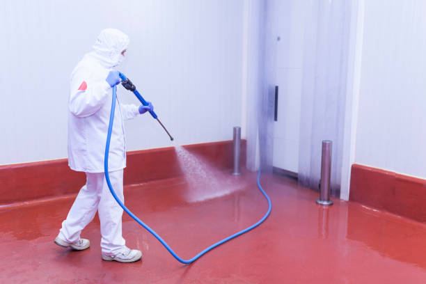 Best Roof Cleaning and Mildew Removal in Pensacola, FL