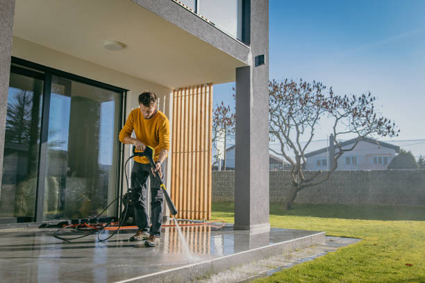 Best Roof Cleaning and Mildew Removal in Pensacola, FL